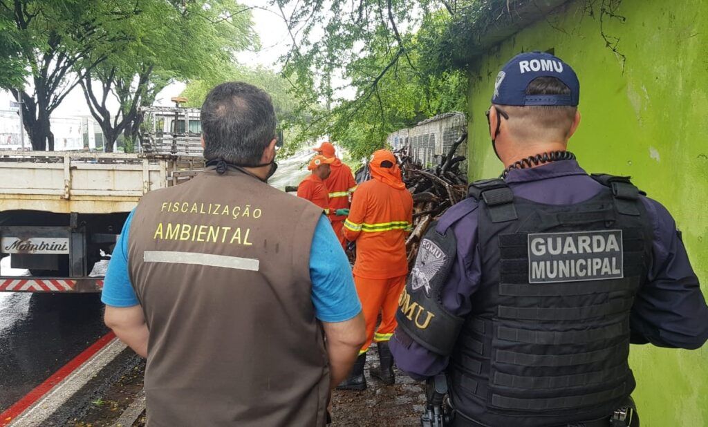 Carga de madeira destinada a fogueiras juninas é apreendida em Natal