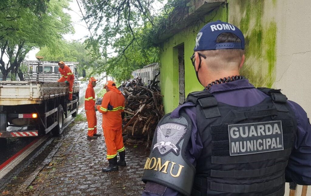 Carga de madeira destinada a fogueiras juninas é apreendida em Natal 