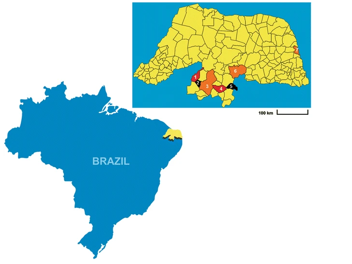 Síndrome de Berardinelli no rn serido potiguar sindrome rara