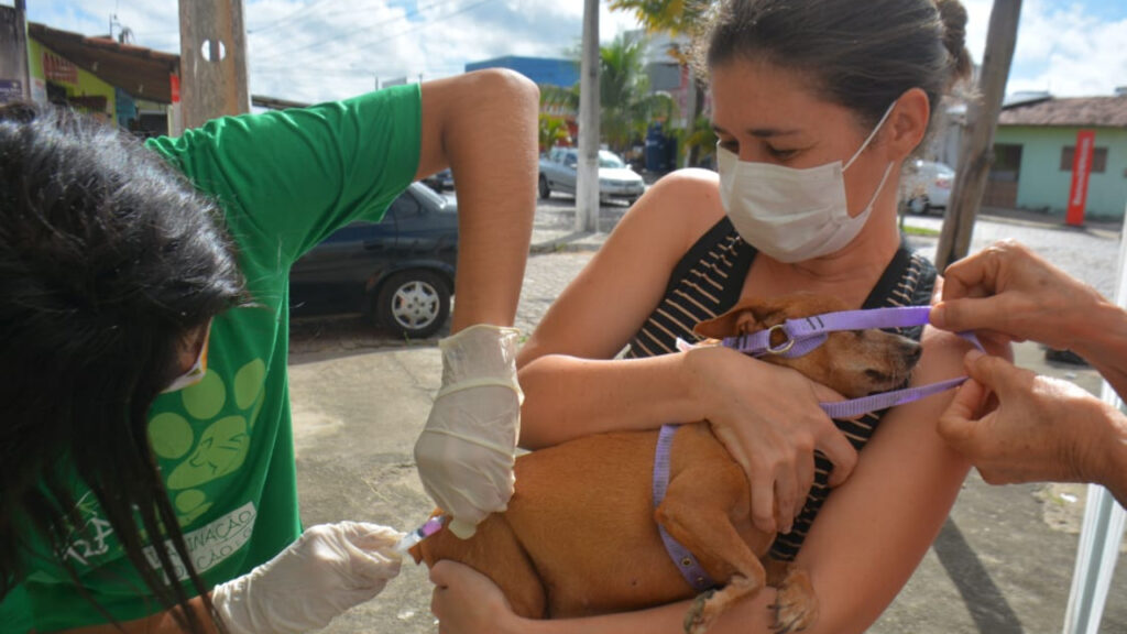 Dia D da vacinação antirrábica acontece neste sábado em Parnamirim