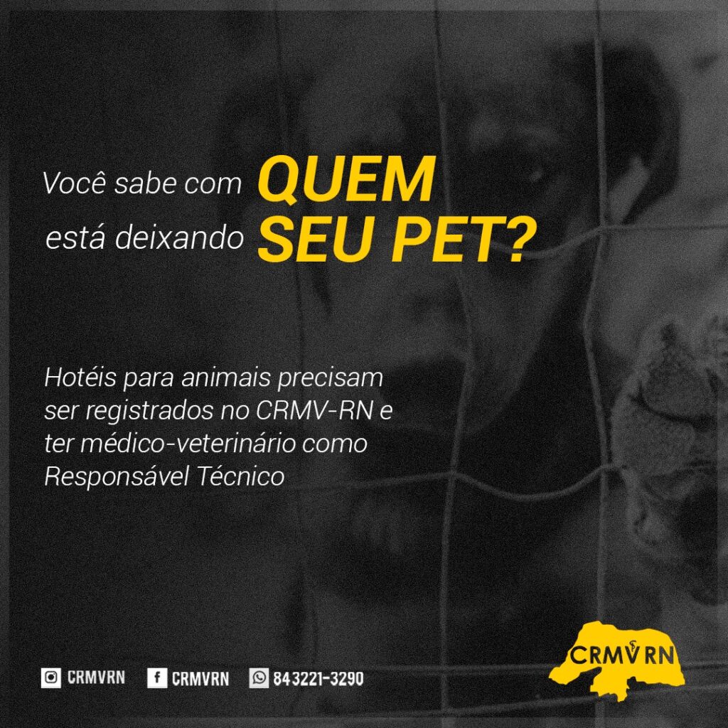 Hotéis para animais são autuados por funcionamento irregular no RN