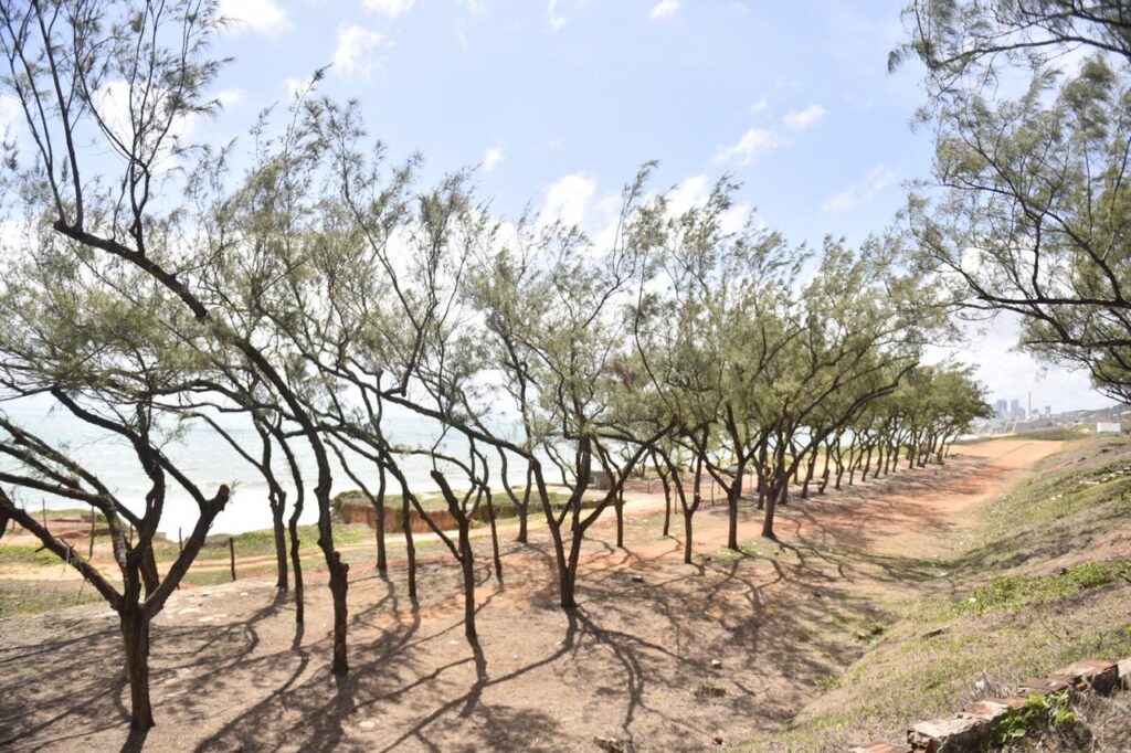 Governo retomará obra de parque na Via Costeira