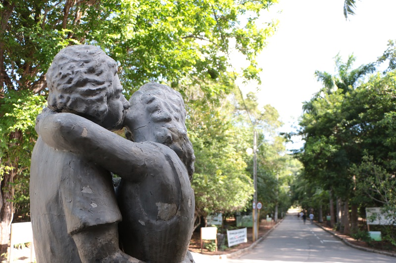 Parque das Dunas completa 43 anos com programação cultural no próximo domingo