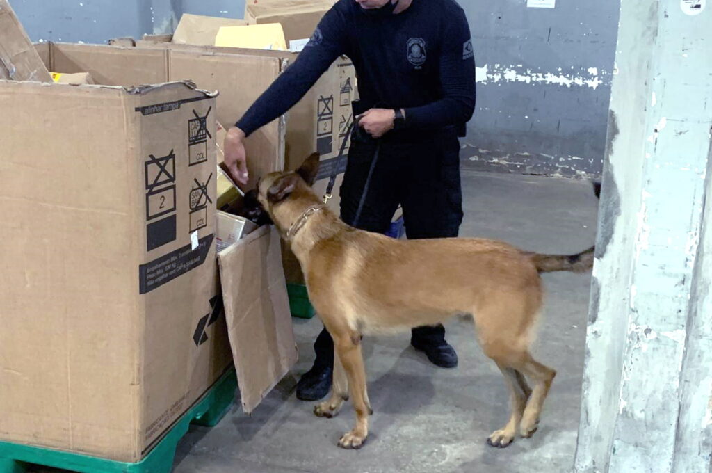 Pó via Correios PF apreende 5 kg de cocaína enviada para Natal