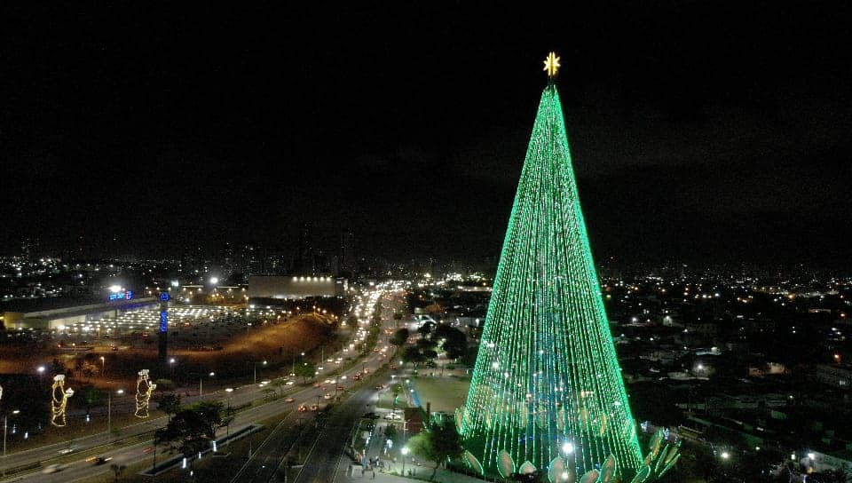 arvore de mirassol natal