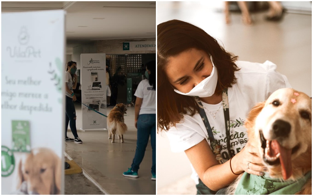 Espaços pet friendly ganham força no RN