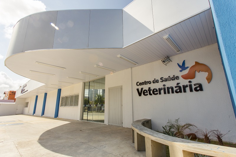 Clínica Veterinária da UnP reabre atendimento com preços diferenciados