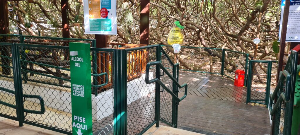 Parque das Dunas e Cajueiro de Pirangi reabrem para visitação