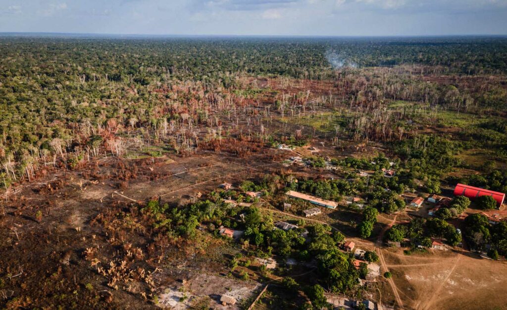 floresta amazonia