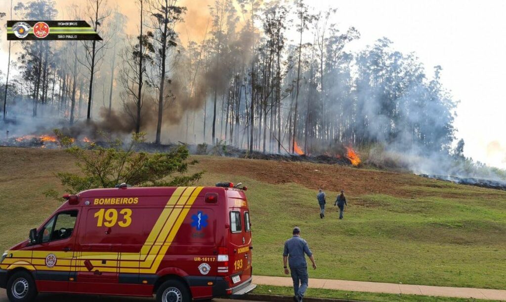 Avião cai em área de mata e 7 pessoas morrem em Piracicaba