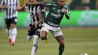 atletico mg e palmeiras