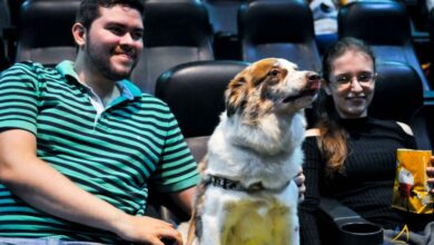 Moviecom do Praia Shopping terá sessão de cinema para pets e tutores