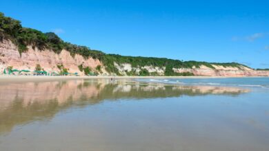 Baía dos Golfinhos, em Pipa, está entre as 10 melhores praias do mundo