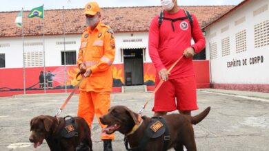 Corpo de Bombeiros do RN envia equipes para ajudar no resgate de vítimas em Petrópolis