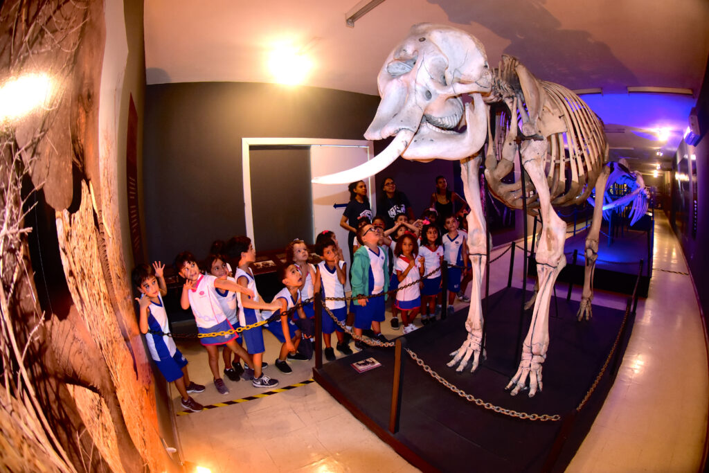 Museu Câmara Cascudo reabre com visitas agendadas