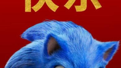 Poster do filme Sonic 2