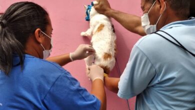 Centro de Zoonoses de Natal realiza vacinação antirrábica porta a porta