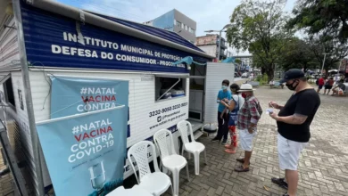 Nova edição da Feirinha da Árvore acontece neste final de semana em Mirassol