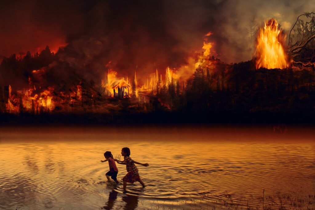 floresta amazonica incendio