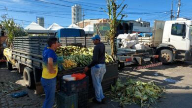 Festejos Juninos Ceasa e otima opcao na hora de comprar produtos tipicos