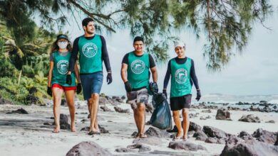 Dia Mundial da Limpeza na Praia da Pipa