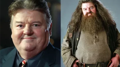 Robbie Coltrane, Hagrid em Harry Potter