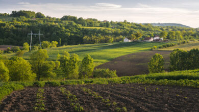 O que verificar antes de comprar uma propriedade rural