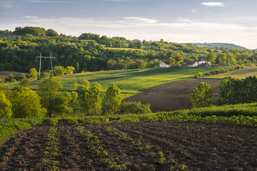 O que verificar antes de comprar uma propriedade rural