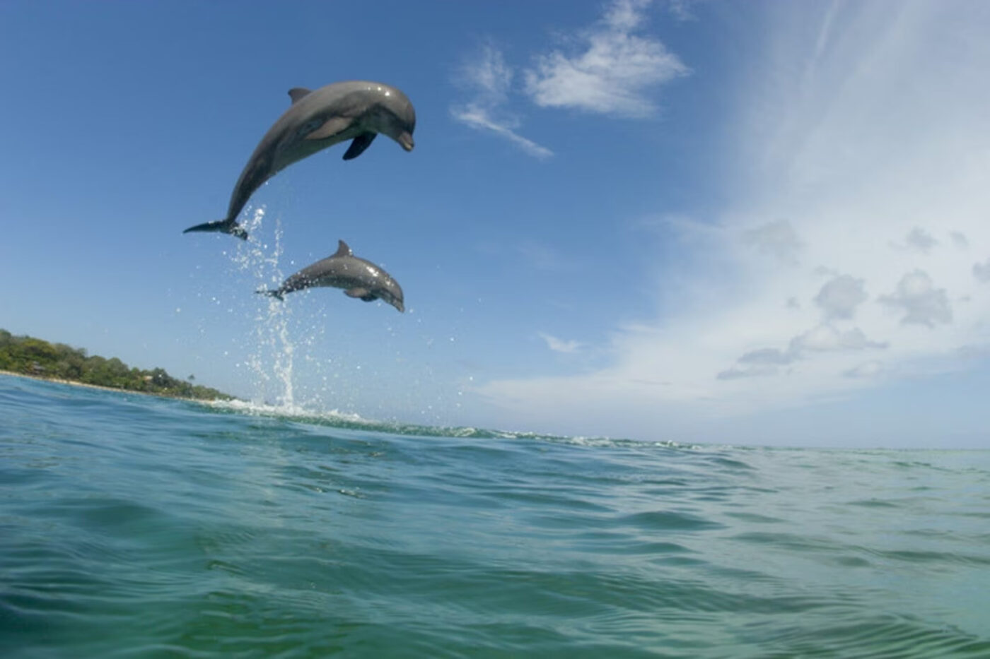 Baía dos Golfinhos, em Pipa, é a 4ª praia mais bonita da América do Sul