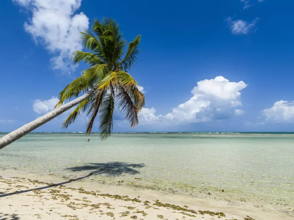 ilha de boipeba