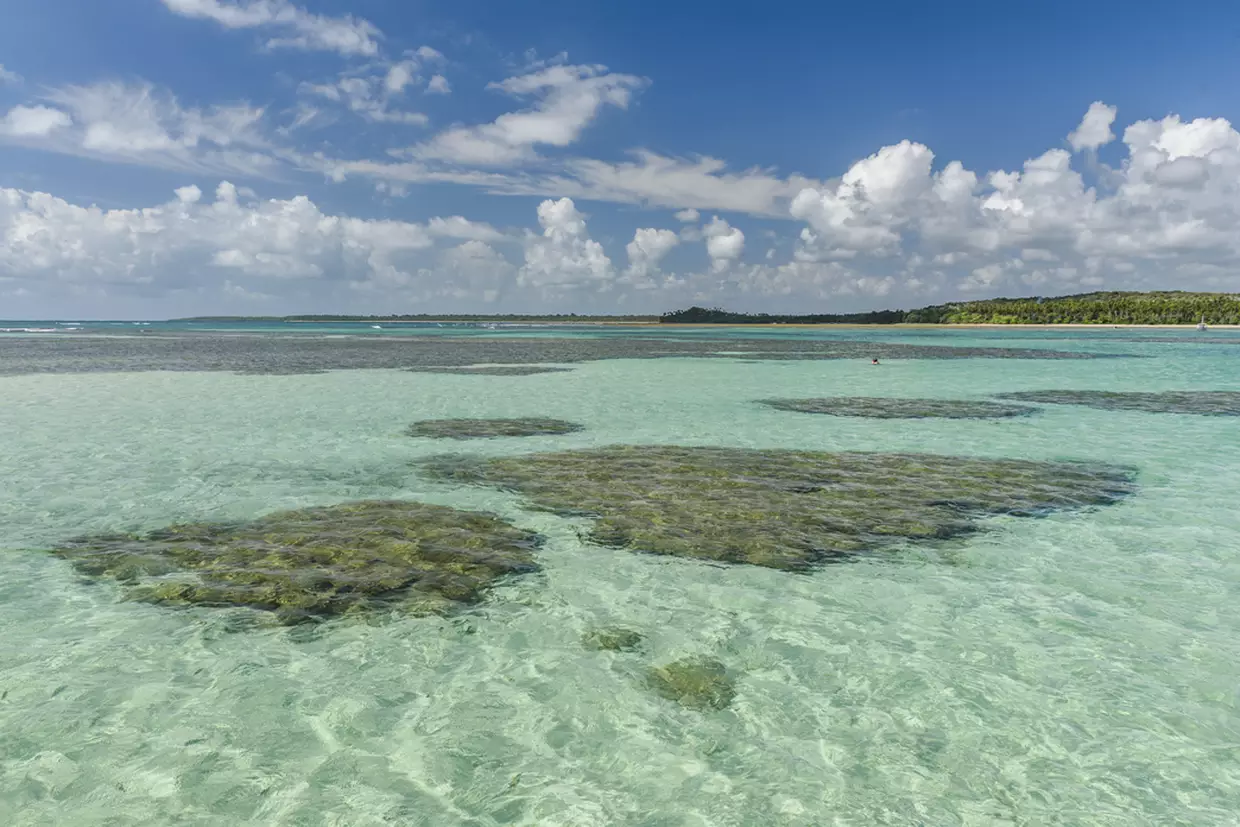 ilha de boipeba4