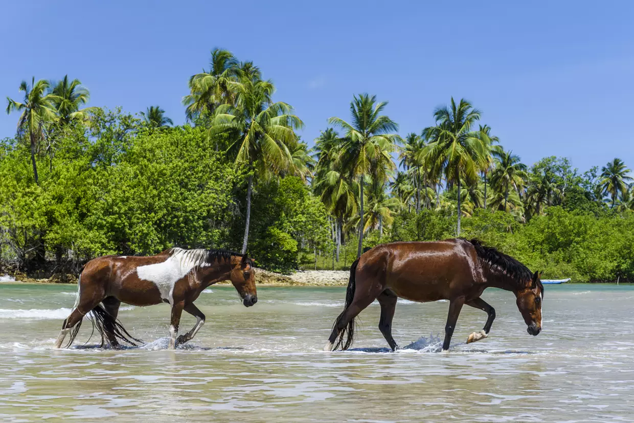 ilha de boipeba6