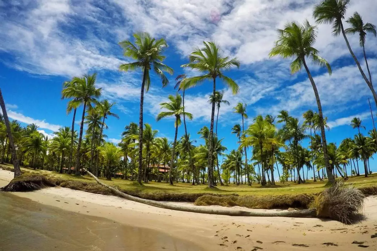 ilha de boipeba8