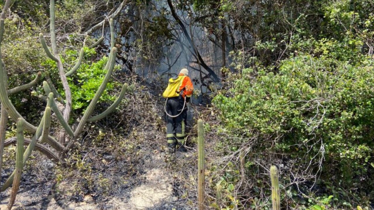 Incendio criminoso e contido no Parque das Dunas 2