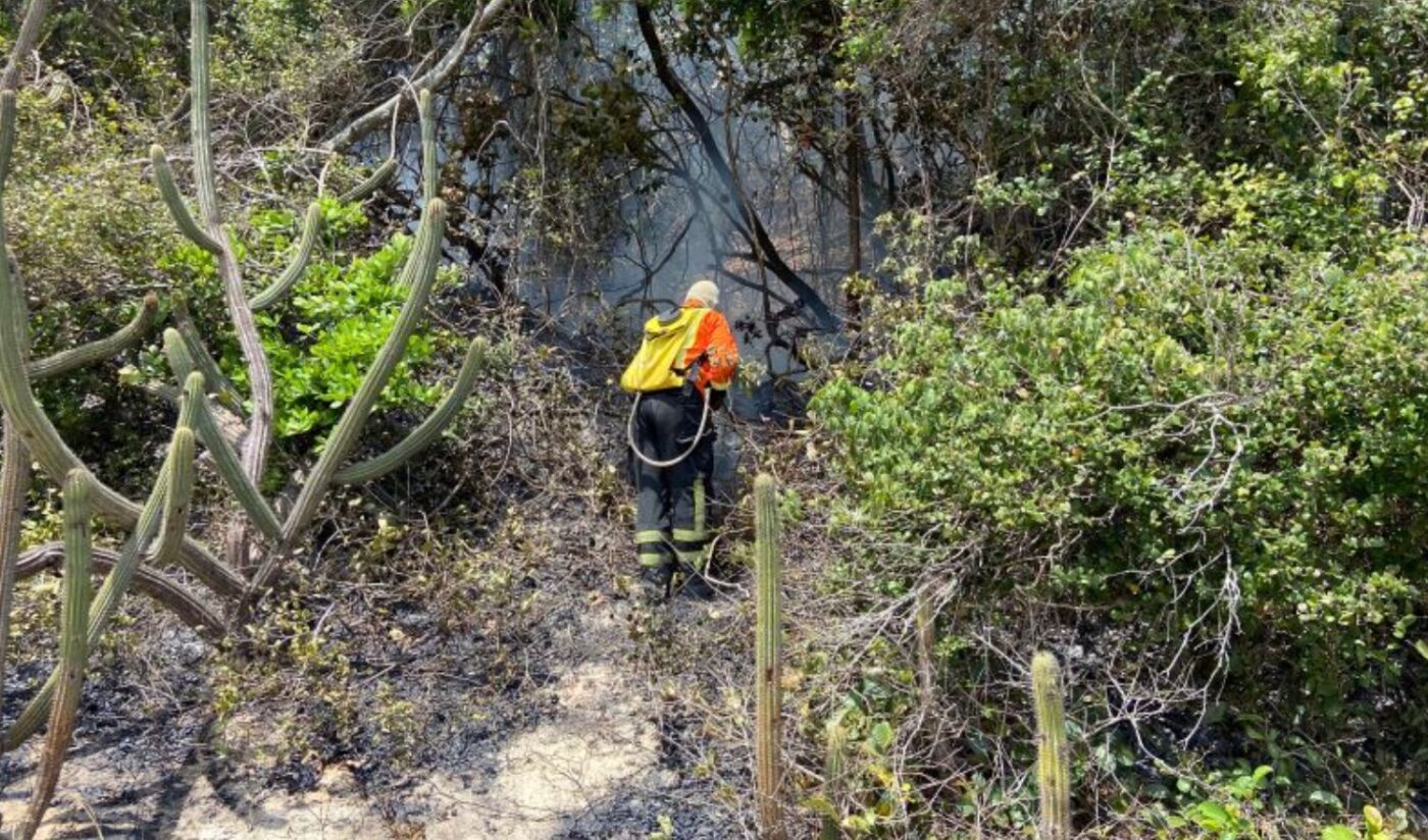 Incendio criminoso e contido no Parque das Dunas 2