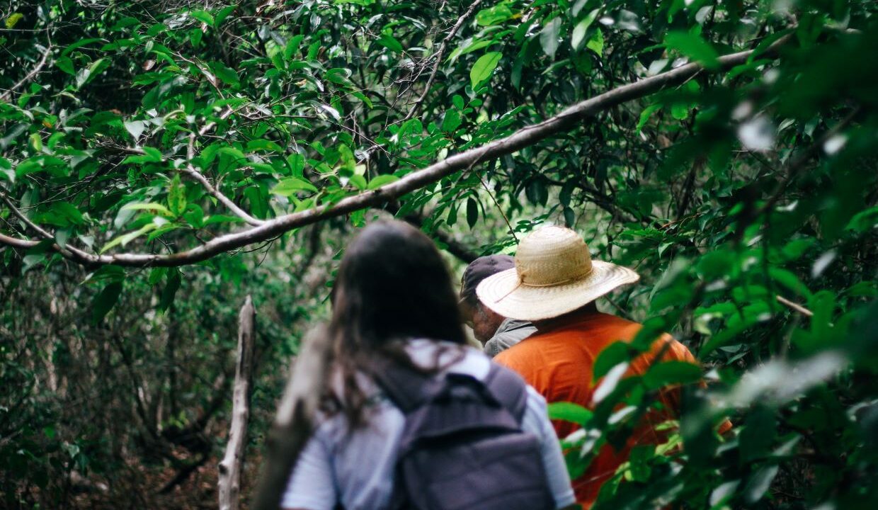 Parque Mata da Pipa entre os melhores destinos verdes do mundo