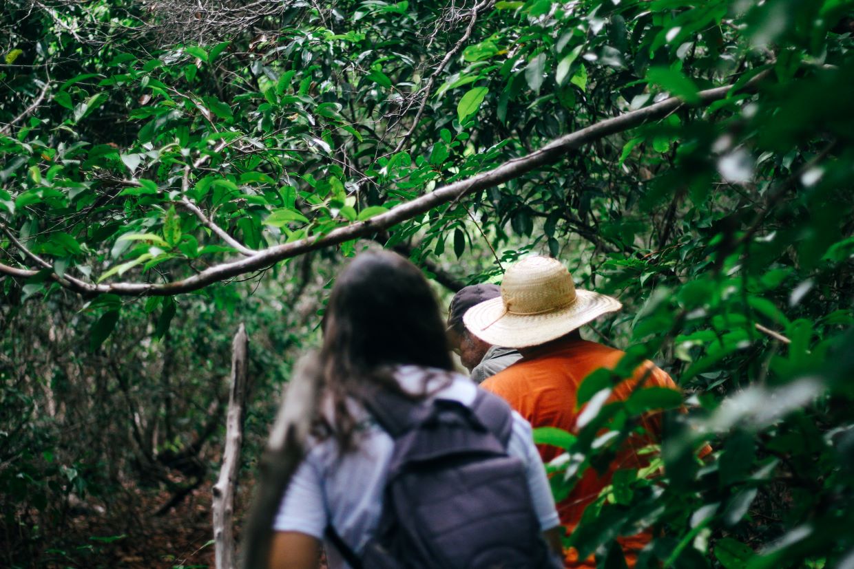 Parque Mata da Pipa entre os melhores destinos verdes do mundo