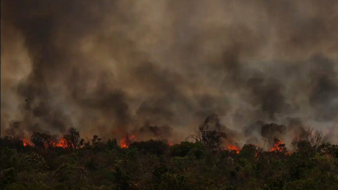 Brasil enfrenta aumento de 150% nas áreas queimadas em 2024, com foco na Amazônia e Cerrado