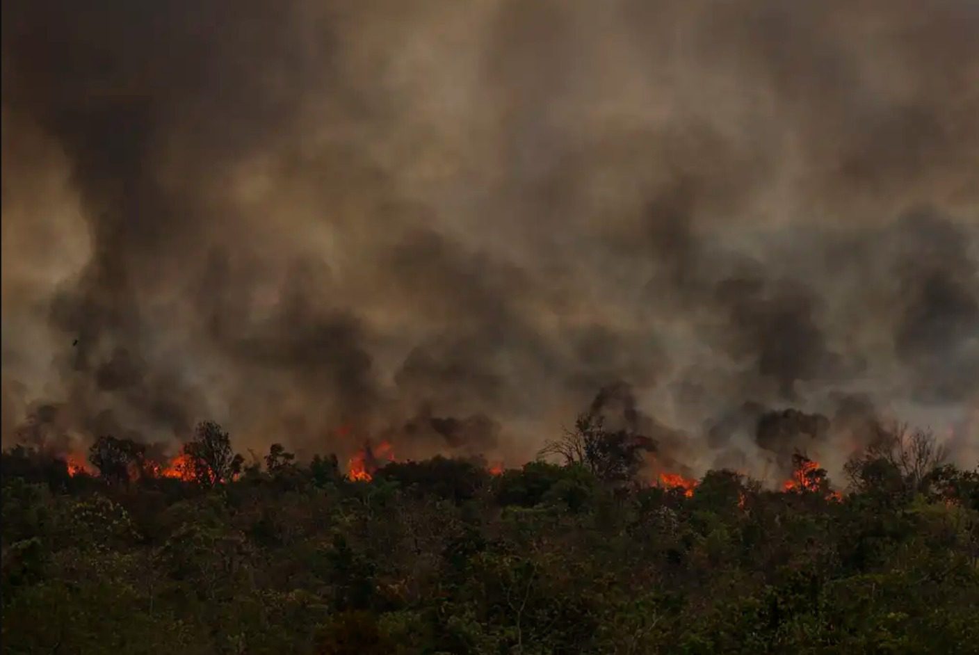 Brasil enfrenta aumento de 150% nas áreas queimadas em 2024, com foco na Amazônia e Cerrado