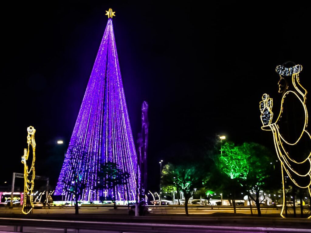 Arvore de Mirassol sera acesa na primeira semana de dezembro