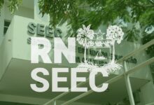 Concurso da SEEC RN atrai mais de 35 mil candidatos para disputar 598 vagas