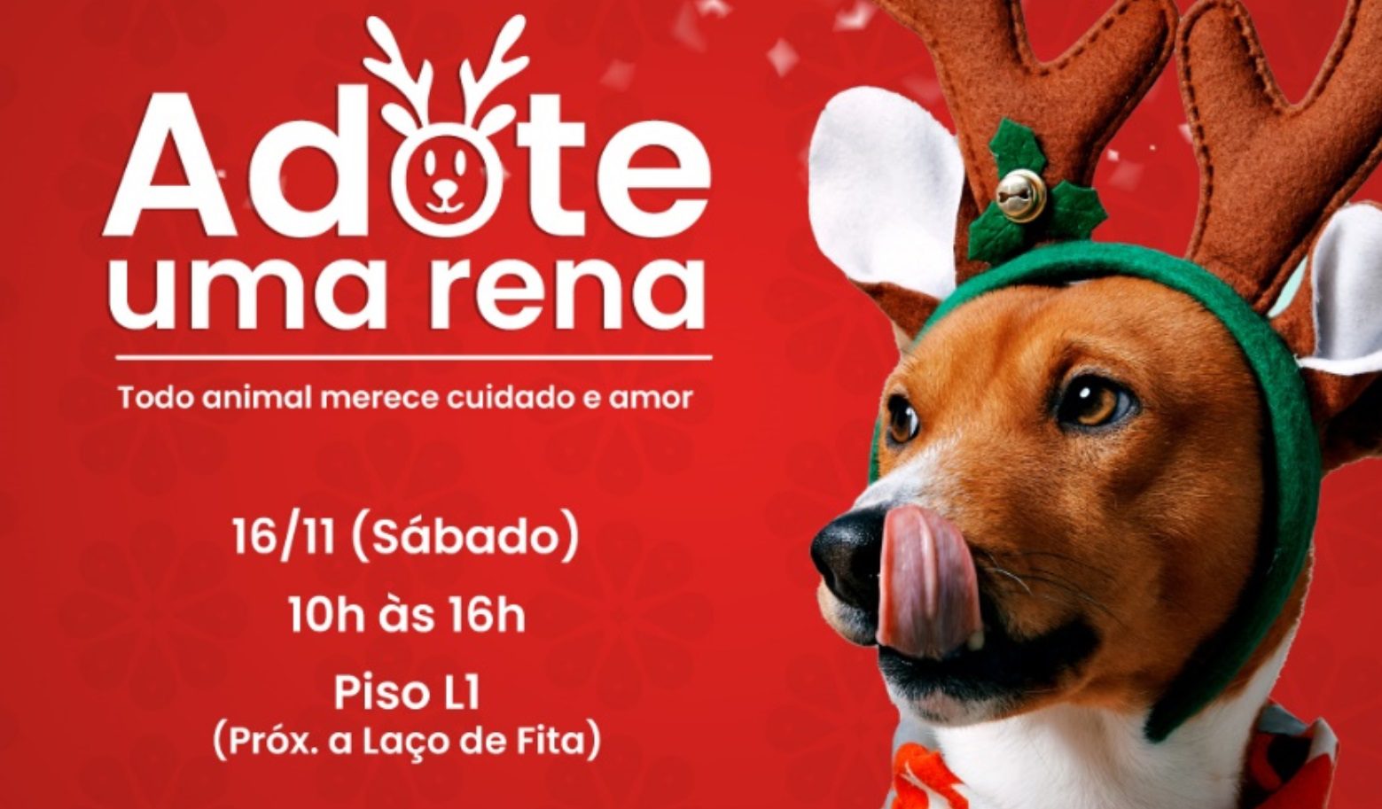 Partage Norte Shopping promove adocao de pets e vacinacao antirrabica neste fim de semana