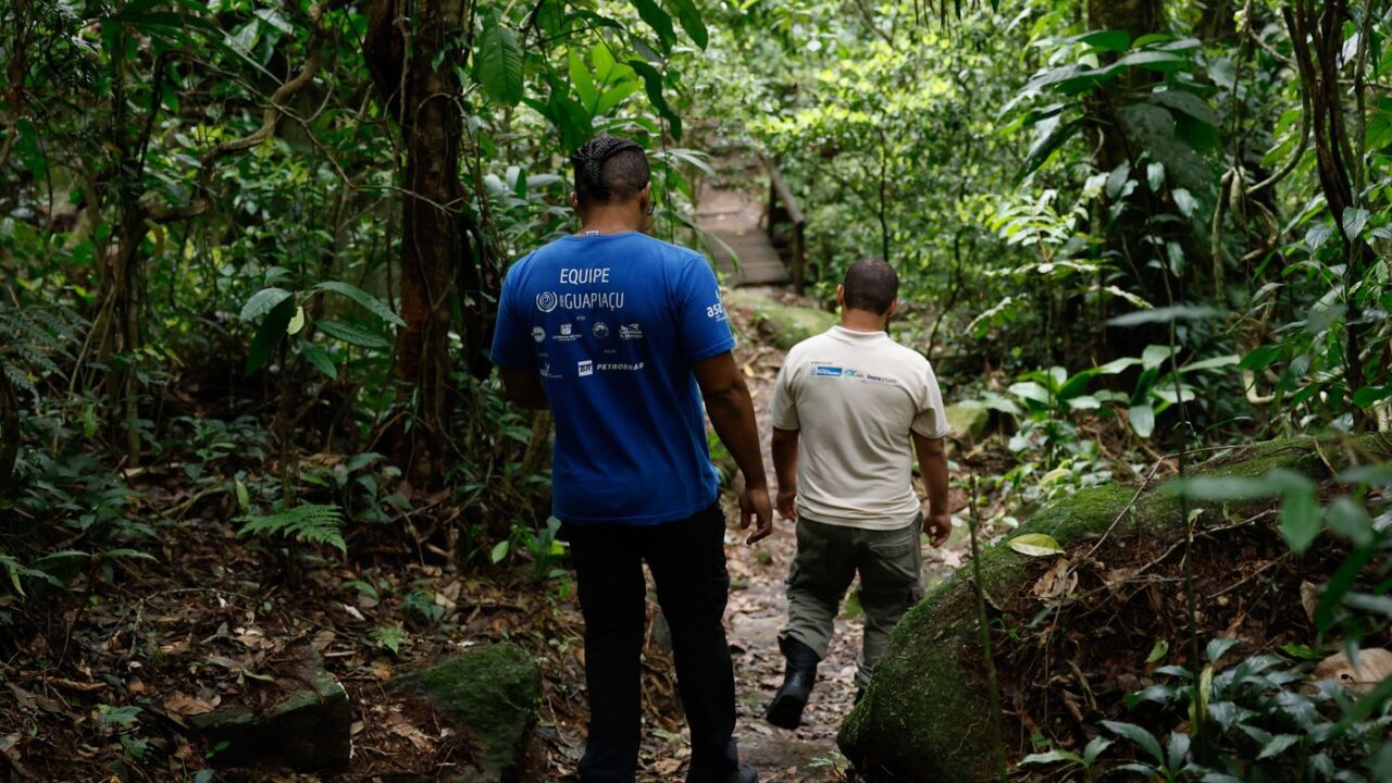 Educação ambiental busca aproximar a população da Mata Atlântica