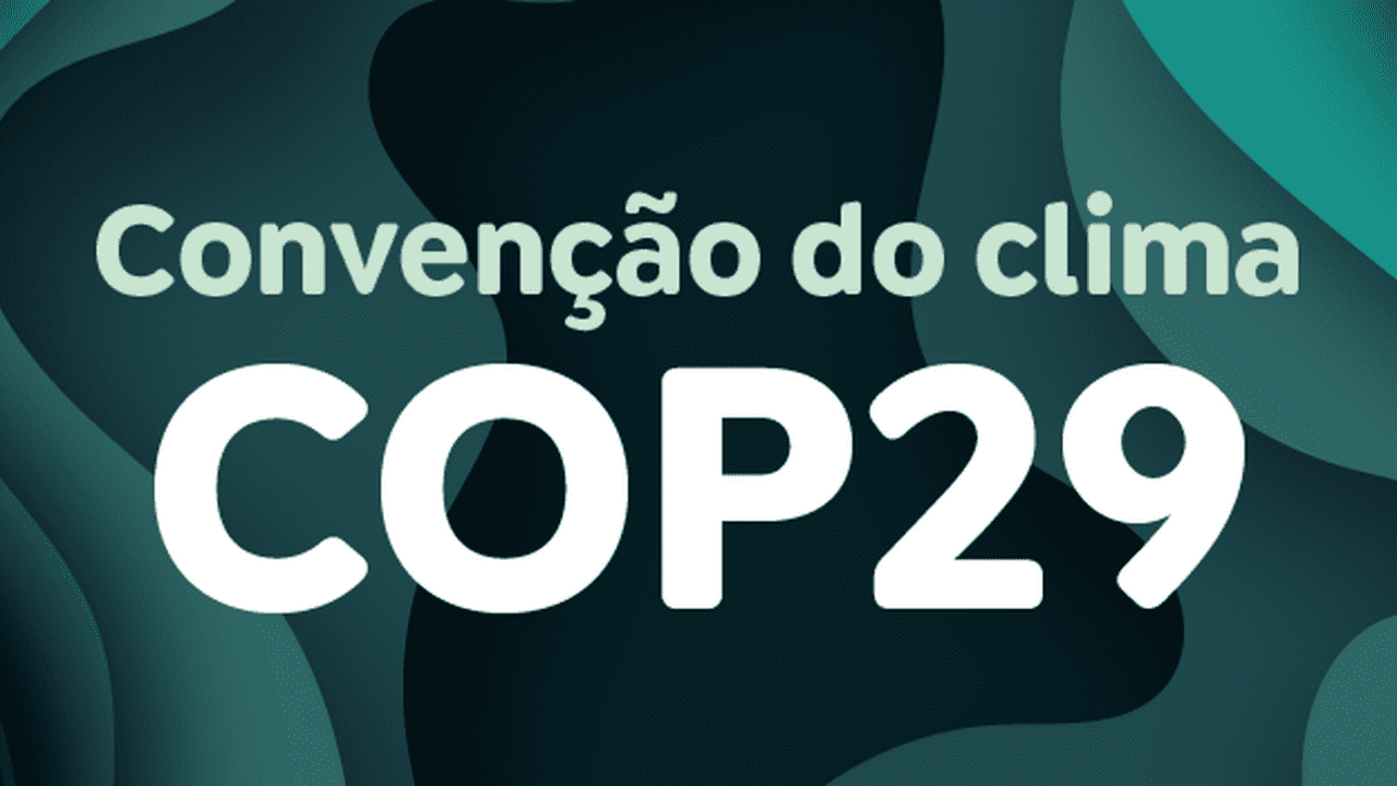 Jovens do Sul Global ganham voz ao terem delegação na COP 29