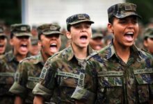 Alistamento militar feminino inicia em janeiro de 2025 confira as regras e requisitos