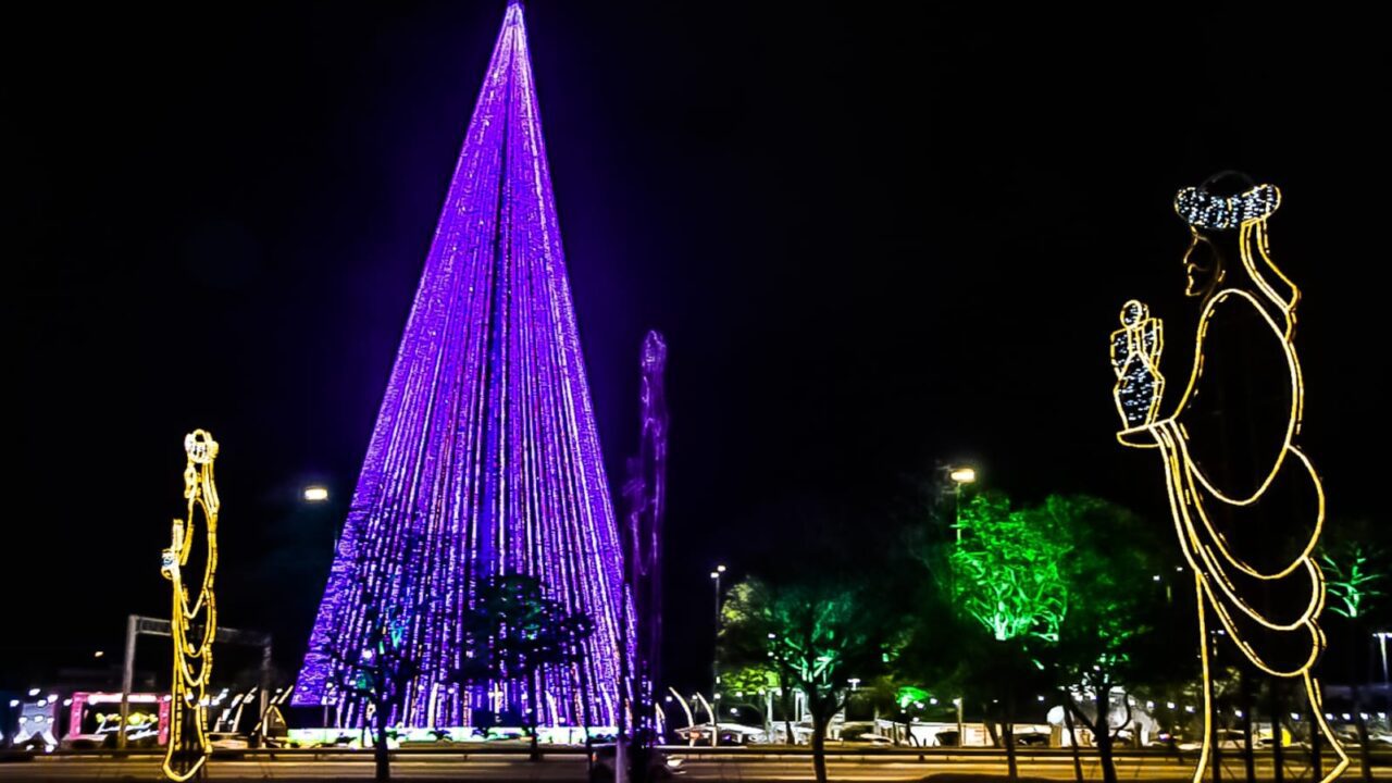 Arvore de mirassol em natal