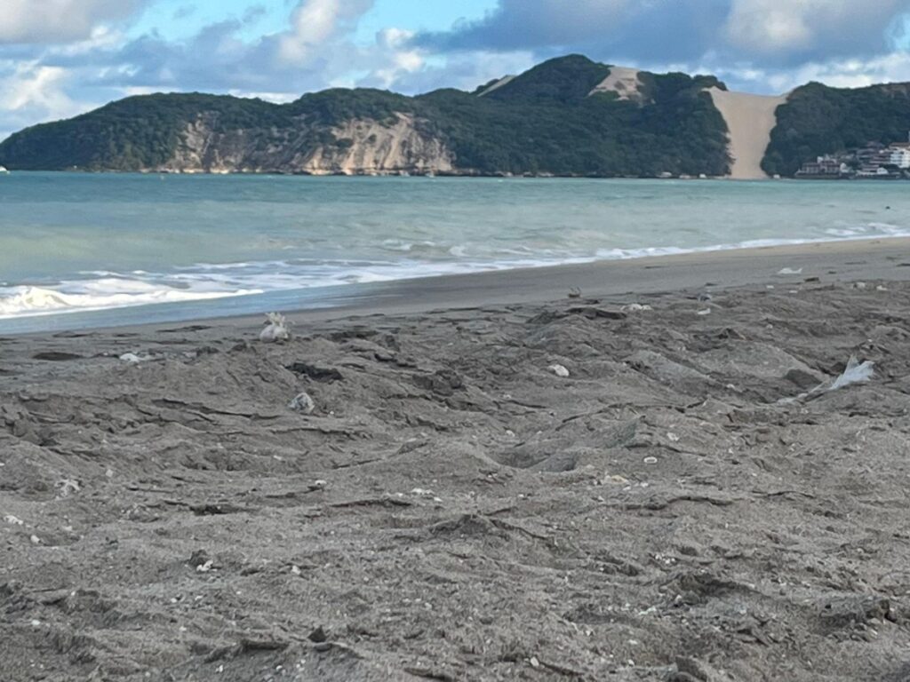 Engorda de Ponta Negra