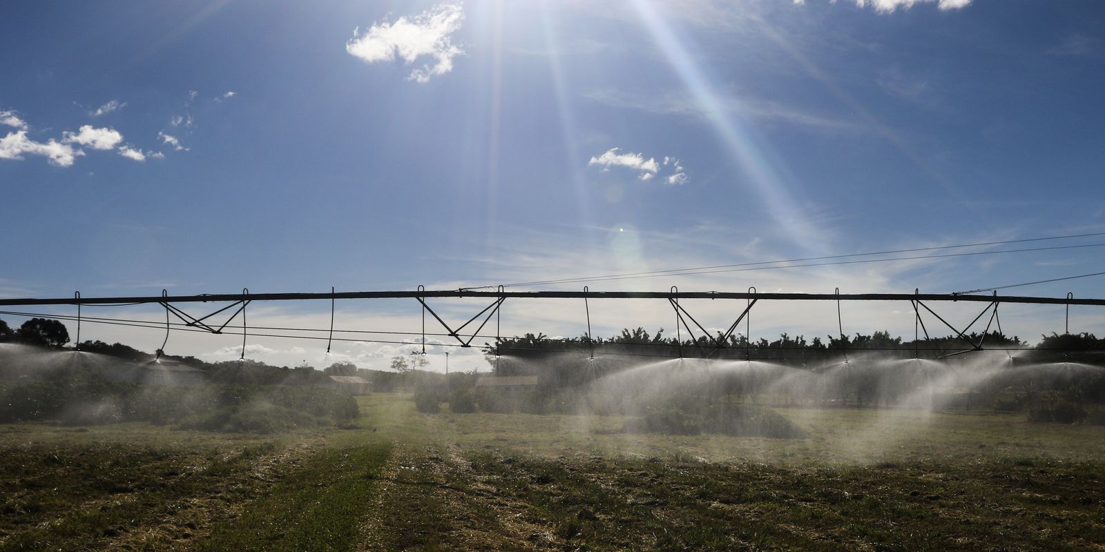 Entenda como ficam as exportações agrícolas após acordo Mercosul-UE