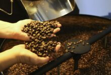 Brasil exporta 46 milhões de sacas de café, atingindo recorde em 2024