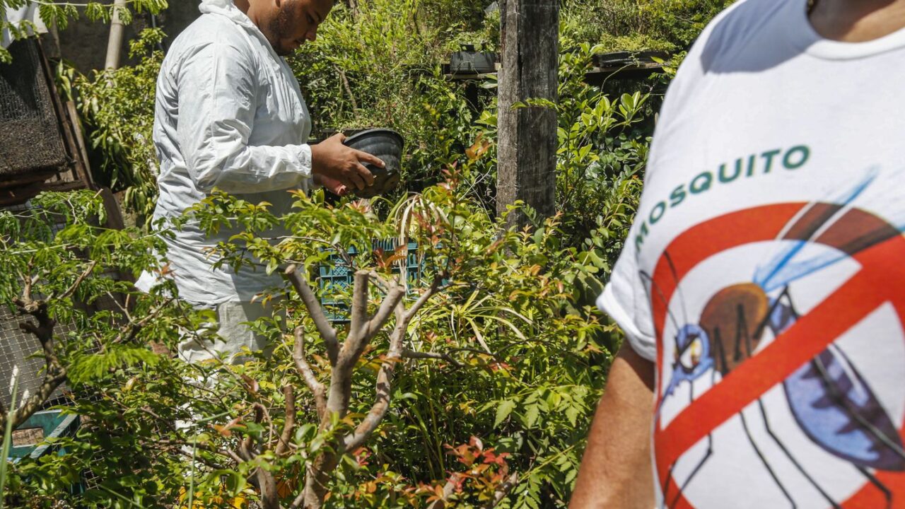 Brasil tem mais de 6,5 milhões de casos prováveis de dengue este ano